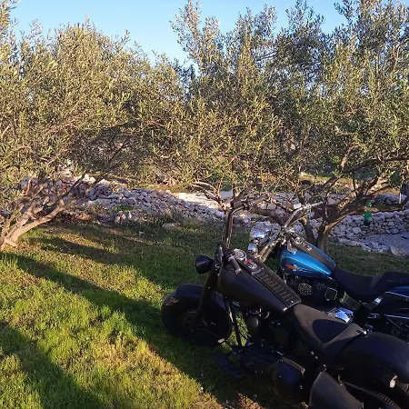 Σπίτι διακοπών House Hacienda Stoerman *