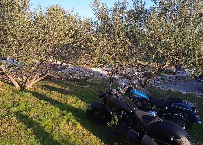 Vakantiehuis House Hacienda Stoerman *